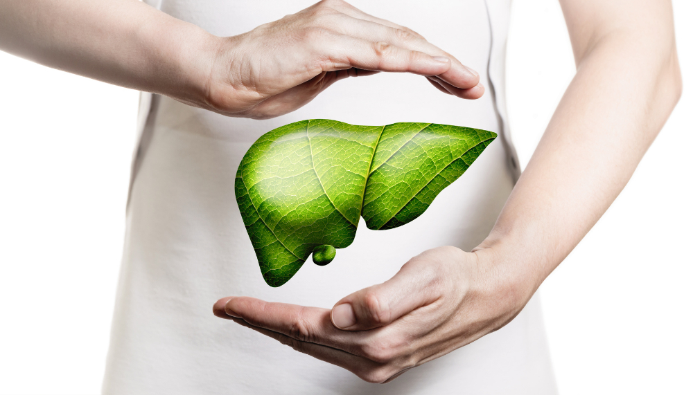 Thé vert : quels impacts sur notre foie ?