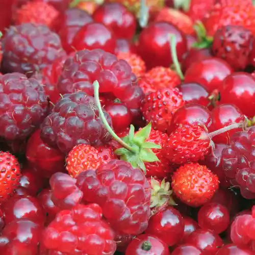 Note de tête: Fruits rouges