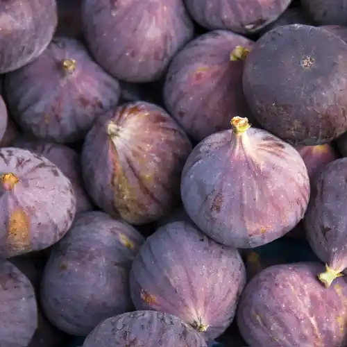 Note de tête: Figue