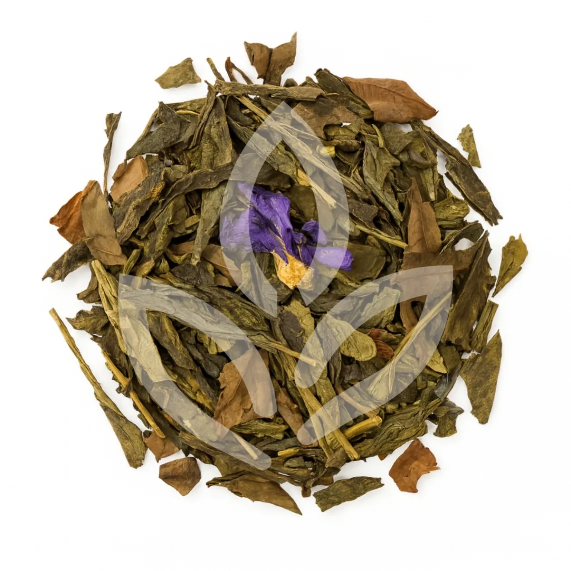 Élégance Parisienne