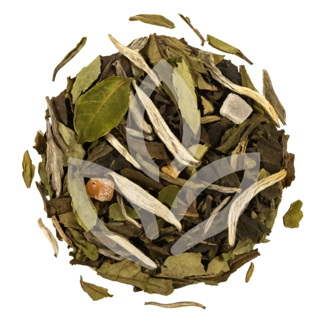 Évasion Passionnée