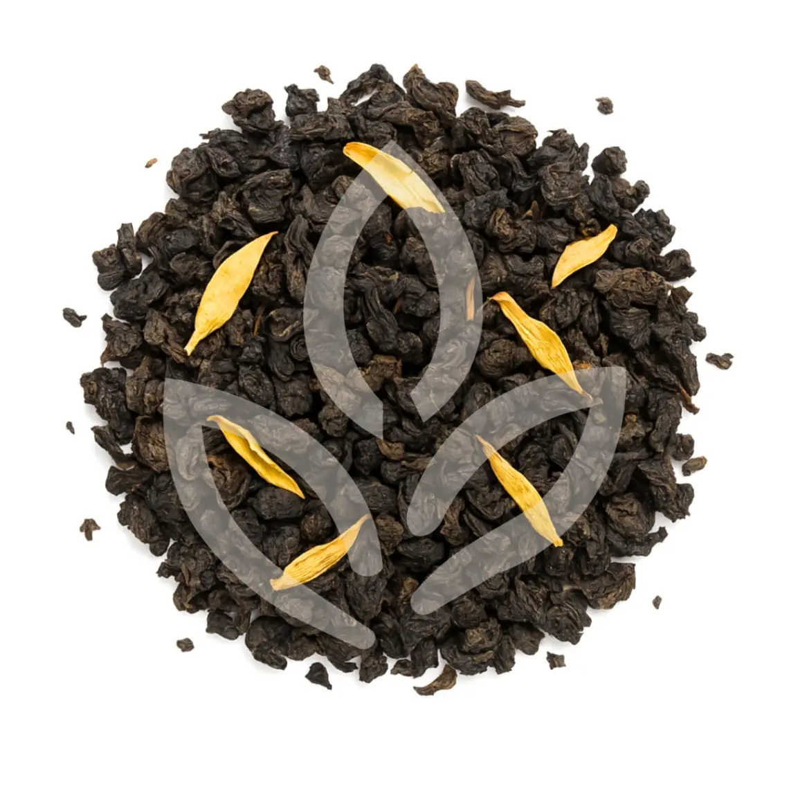 Éclat d'Aurore - Vue 0