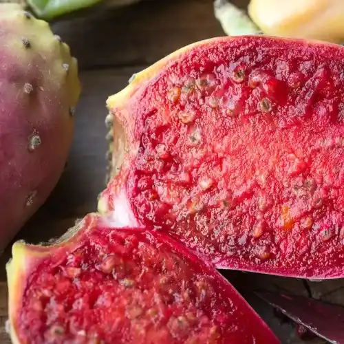 Note de coeur: Figue de Barbarie