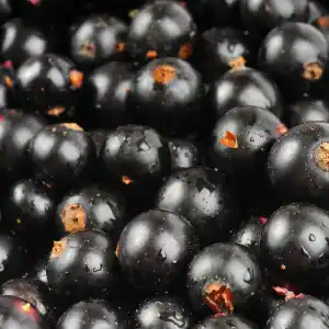 Note de coeur: Cassis