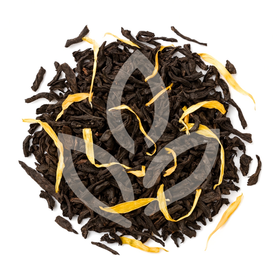 Jasmin Impérial