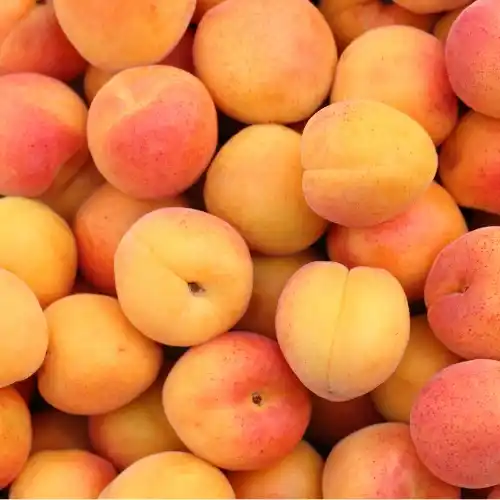 Note de tête: Abricot