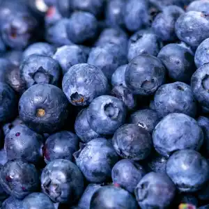 Note de tête: Myrtille