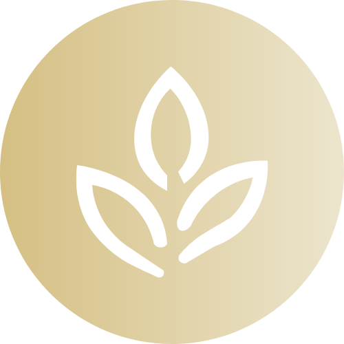 Thé Blanc
