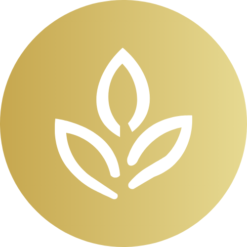 Oolong