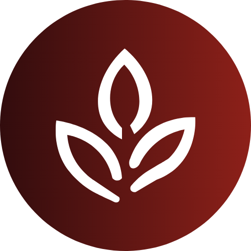 Rooibos