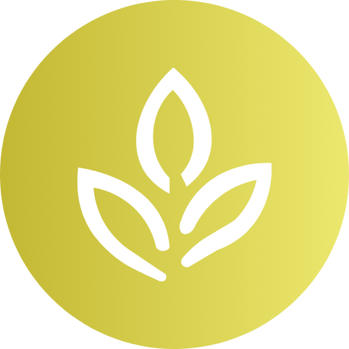Thé Vert
